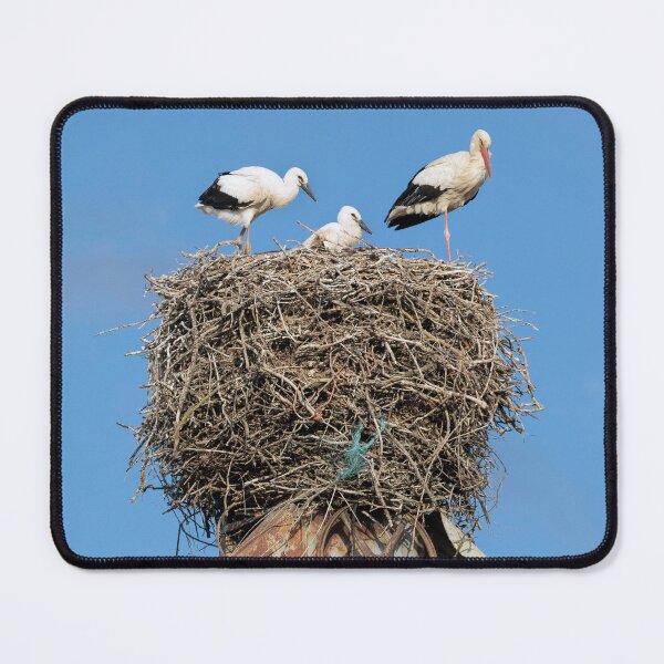 Item preview, The White Storks of Frómista designed and sold by Kezzles.