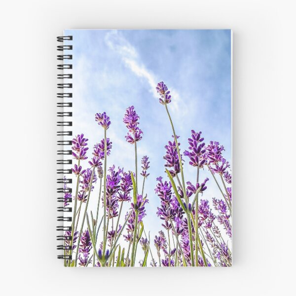 Item preview, Lavender against sky designed and sold by Karen  O'Reilly.