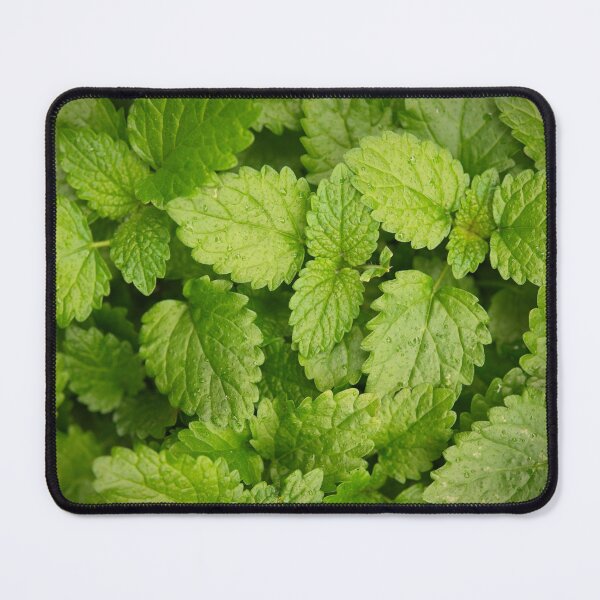 Item preview, Lemon balm designed and sold by TheNordicNature.