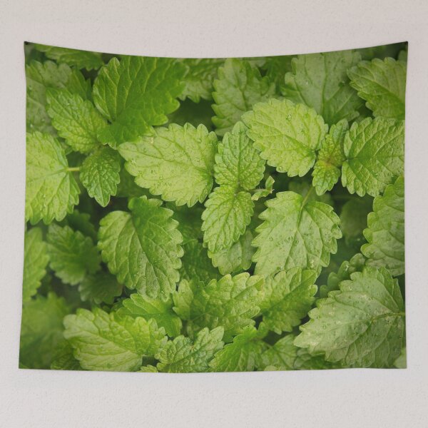 Item preview, Lemon balm designed and sold by TheNordicNature.