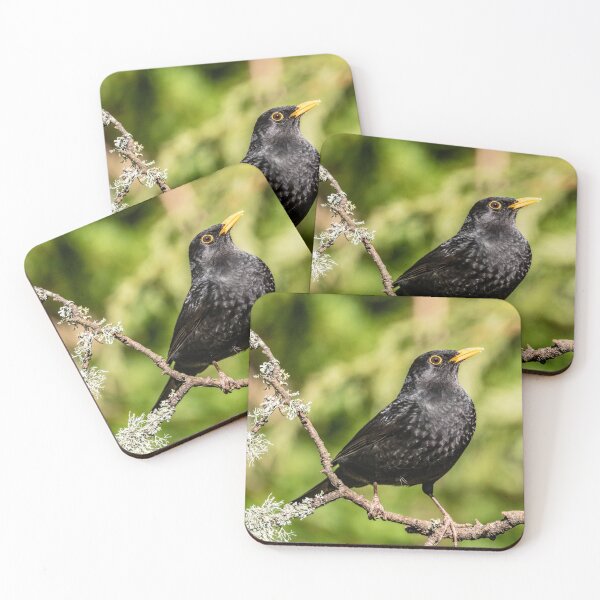 Item preview, BLACKBIRD designed and sold by Karen  O'Reilly.