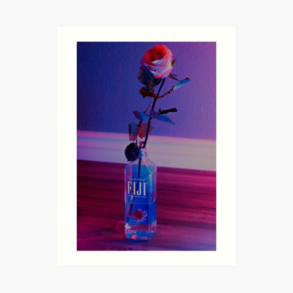 VaporWave rose Lámina artística