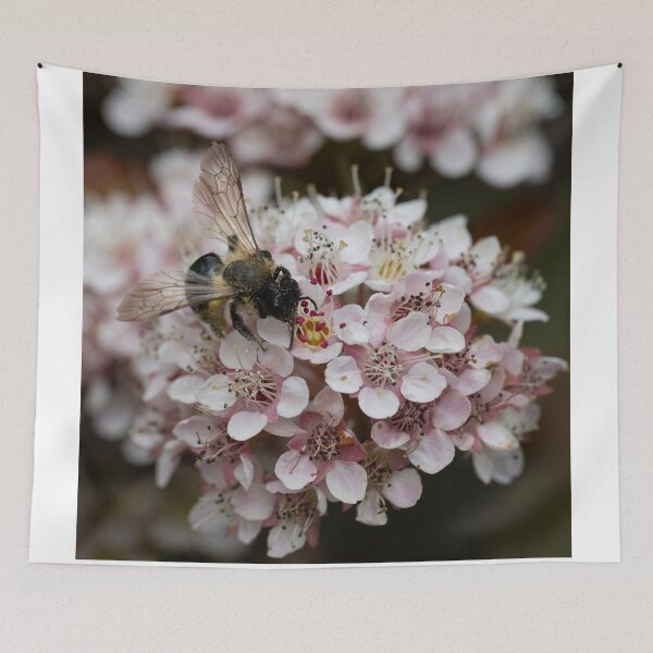 Artikelvorschau, Biene auf einer Blume, bedeckt mit Pollen entworfen und verkauft von kathleenjean.