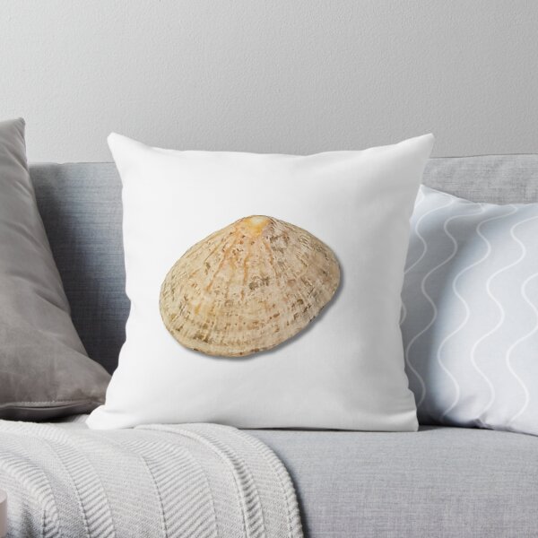 Azure Coastal Shells Outdoor Decorative Pillow