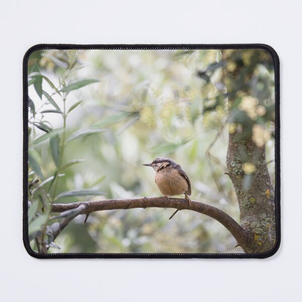 Item preview, Graceful Eurasian Nuthatch designed and sold by DavidGabisPhoto.
