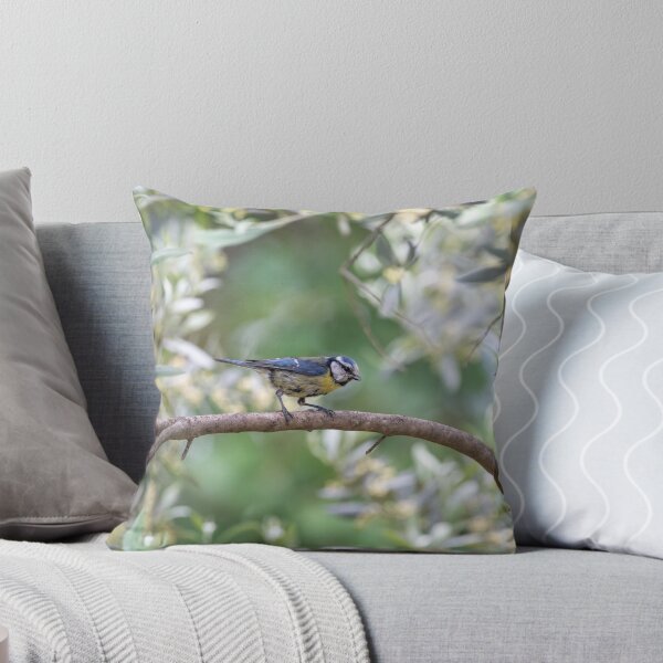 Item preview, Vibrant Great Tit Bird Perches on an Olive Tree Branch designed and sold by DavidGabisPhoto.
