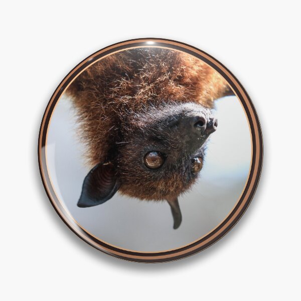 Item preview, Bat Week, flying fox designed and sold by HolidayBug.