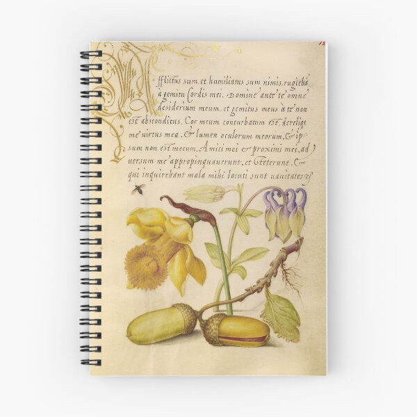 Item preview, Insect, Daffodil, European Columbine, English Oak Acorn Illumination designed and sold by Lisa Mauro.