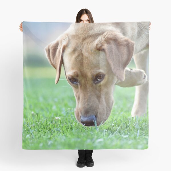 Item preview, I See You designed and sold by athousandwordss.