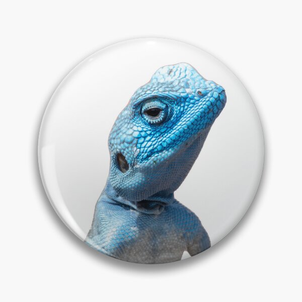Item preview, Mesmerising Sinai Agama designed and sold by stedata.