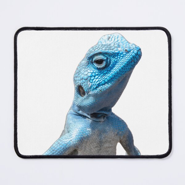 Item preview, Mesmerising Sinai Agama designed and sold by stedata.
