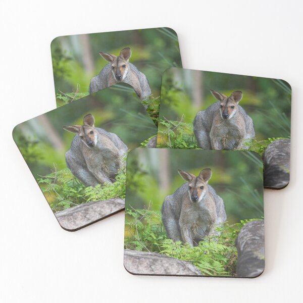 Item preview, Wallaby on a Rock designed and sold by ozfoximages.