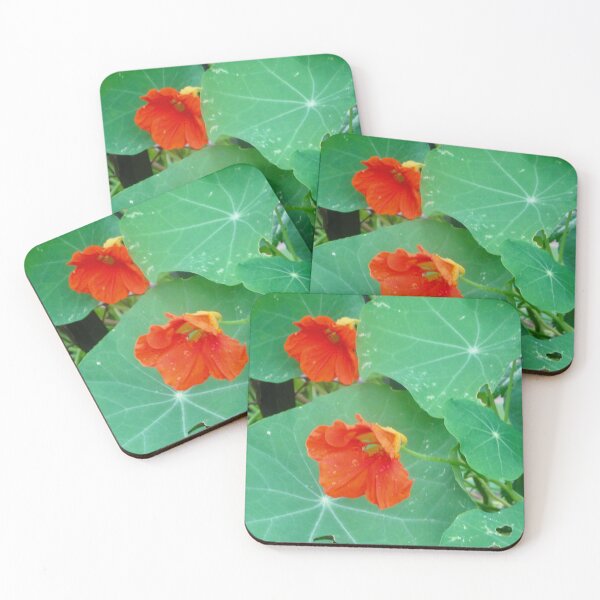 Item preview, Nasturtiums designed and sold by Shulie1.