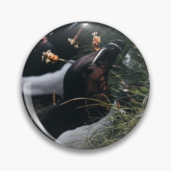 Item preview, Razorbill designed and sold by photobytableau.