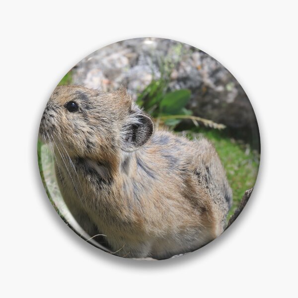 Item preview, Whistling hare designed and sold by zumi.