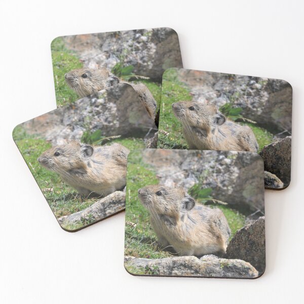 Item preview, Whistling hare designed and sold by zumi.