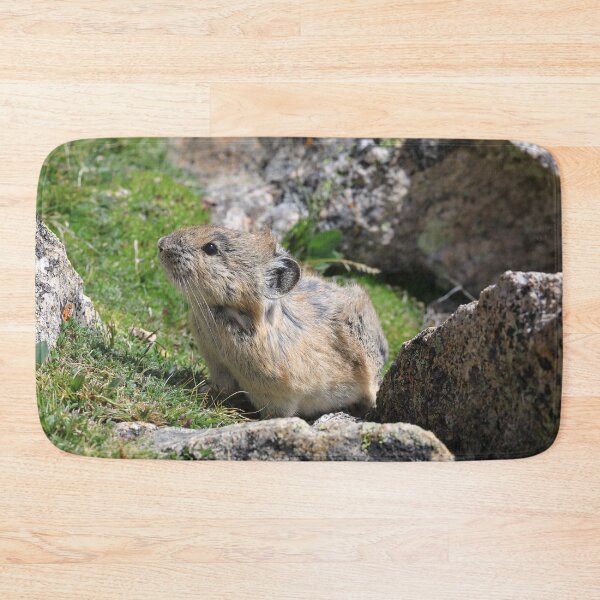 Item preview, Whistling hare designed and sold by zumi.