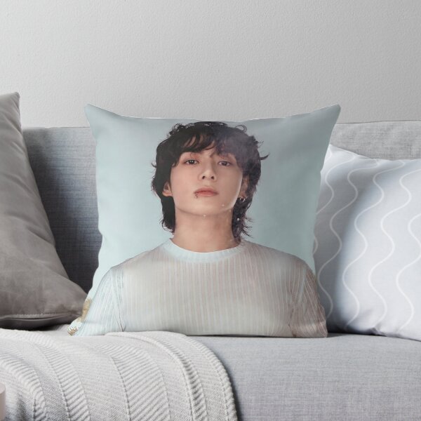 https://ih1.redbubble.net/image.5120472441.6120/throwpillow,small,600x-bg,f8f8f8-c,0,120,600,600.jpg