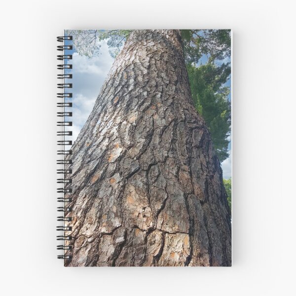 Artikelvorschau, Majestätischer Baum. entworfen und verkauft von UltraQuirky.