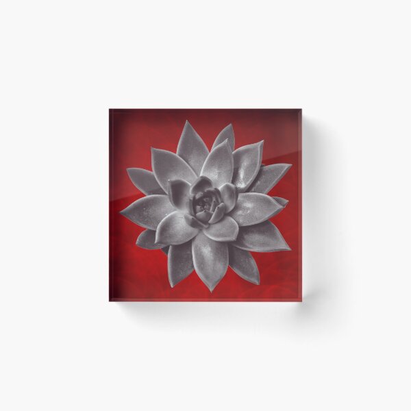 Item preview, Passionate About Succulents  designed and sold by LeafyLanePrints.