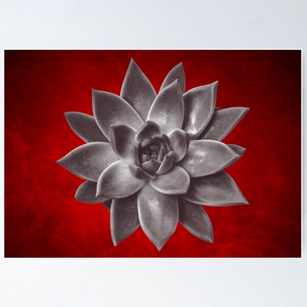 Item preview, Passionate About Succulents  designed and sold by LeafyLanePrints.