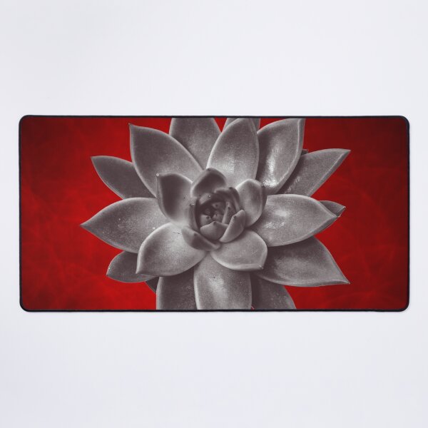 Item preview, Passionate About Succulents  designed and sold by LeafyLanePrints.