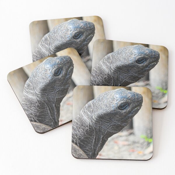 Item preview, Sassy Aldabra Giant Tortoise designed and sold by Misfit-Photo.