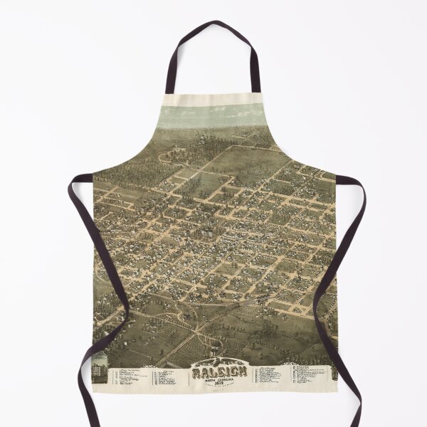 Item preview, Raleigh, North Carolina (1872) designed and sold by allhistory.
