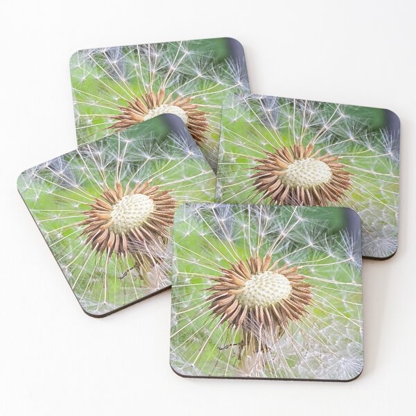 Item preview, Dandelion designed and sold by Paddyb17.