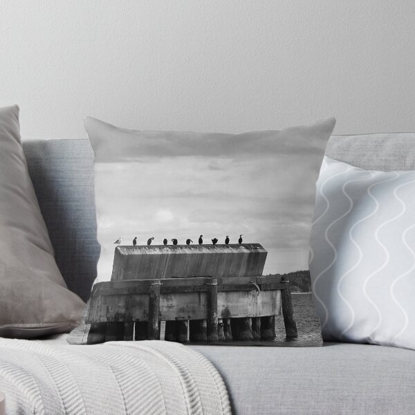 Item preview, Resting Sea Birds designed and sold by Photobomb81.