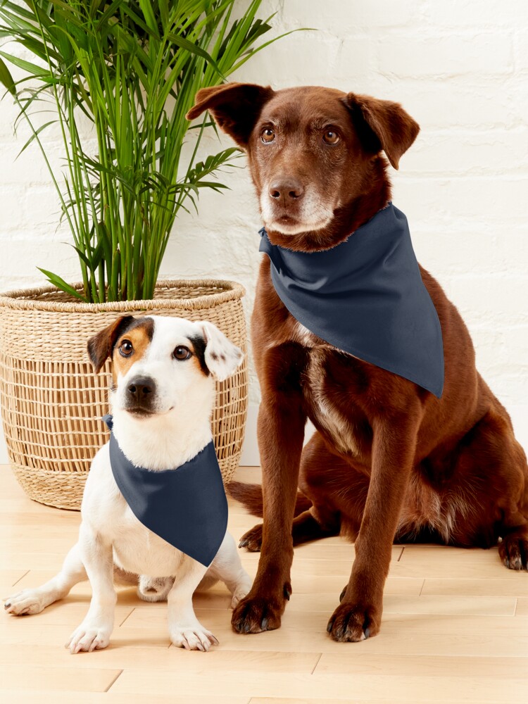 Chicago Bears Dog Bandana