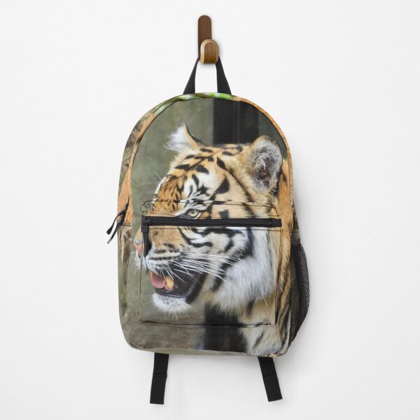 Item preview, Sumatran Tiger at the zoo designed and sold by Mark Grimsley.
