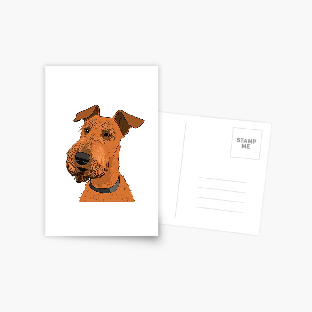 Sweetest Irish Terrier ever