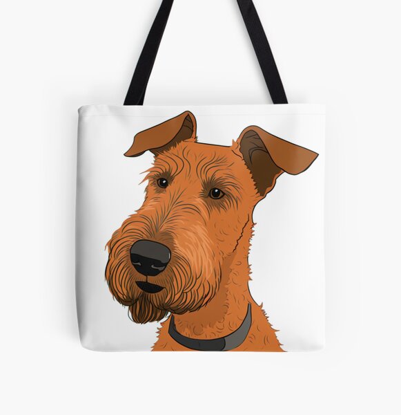 Sweetest Irish Terrier ever