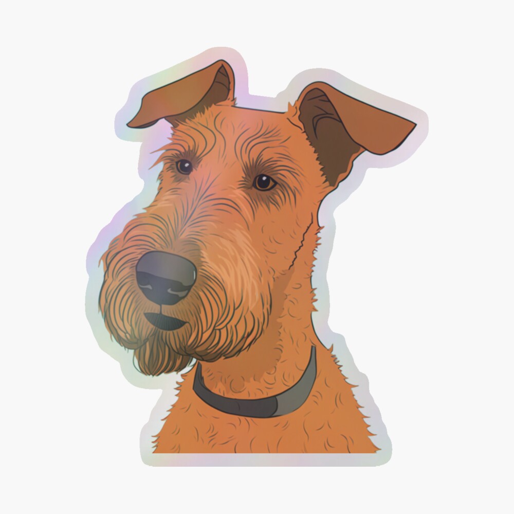 Sweetest Irish Terrier ever