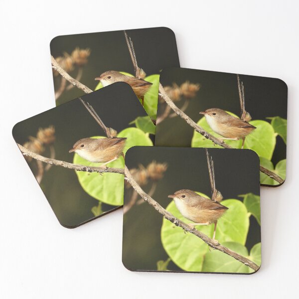 Item preview, Fairy Wren on the Beach designed and sold by Mark Grimsley.