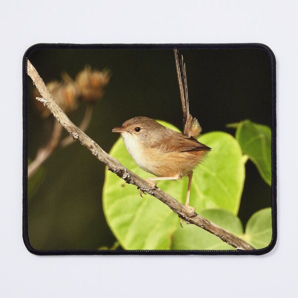Item preview, Fairy Wren on the Beach designed and sold by Mark Grimsley.
