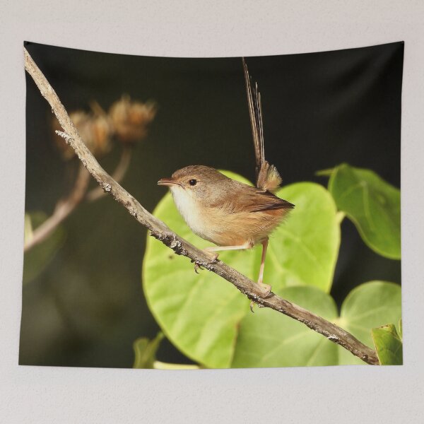 Item preview, Fairy Wren on the Beach designed and sold by Mark Grimsley.