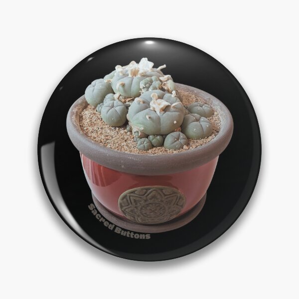 Item preview, Potted Peyote Cactus designed and sold by Sacred-Buttons.