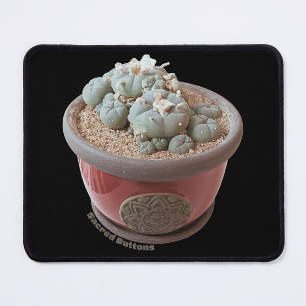 Item preview, Potted Peyote Cactus designed and sold by Sacred-Buttons.