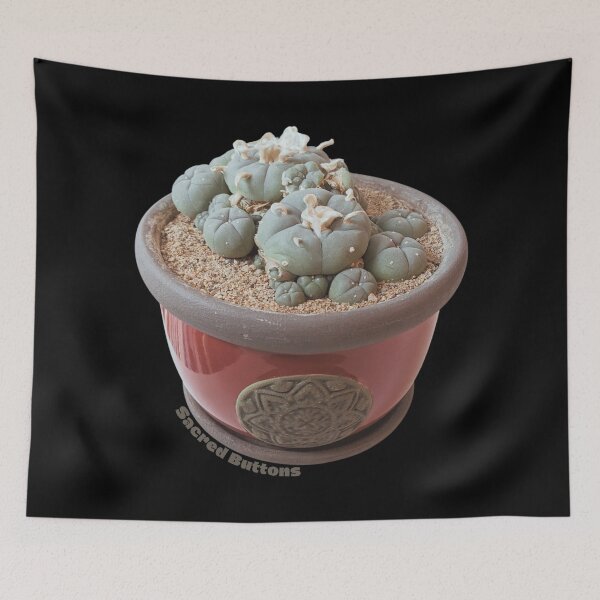 Item preview, Potted Peyote Cactus designed and sold by Sacred-Buttons.