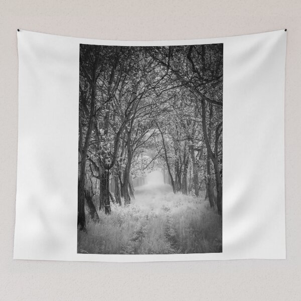 Item preview, Into the Mist designed and sold by Bernai Velarde.