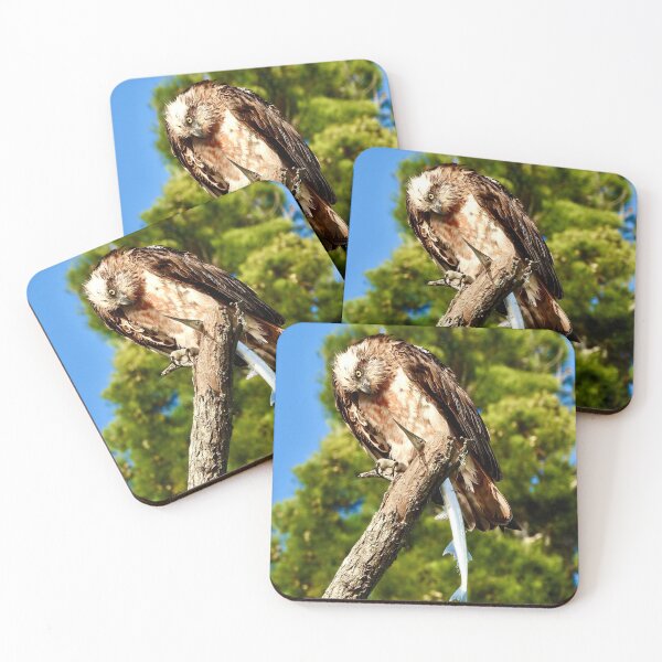 Item preview, Osprey looking at breakfast on the Beach designed and sold by Mark Grimsley.