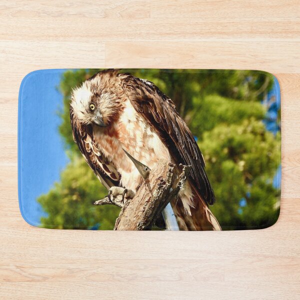 Item preview, Osprey looking at breakfast on the Beach designed and sold by Mark Grimsley.