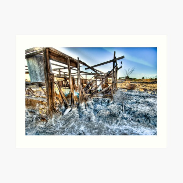 Trailer - not for rent: Salton Sea Beach Art Print