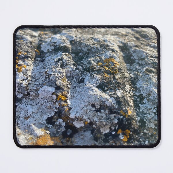 Item preview, Yellow and White Lichen on Harbour Wall designed and sold by Sinemathk.