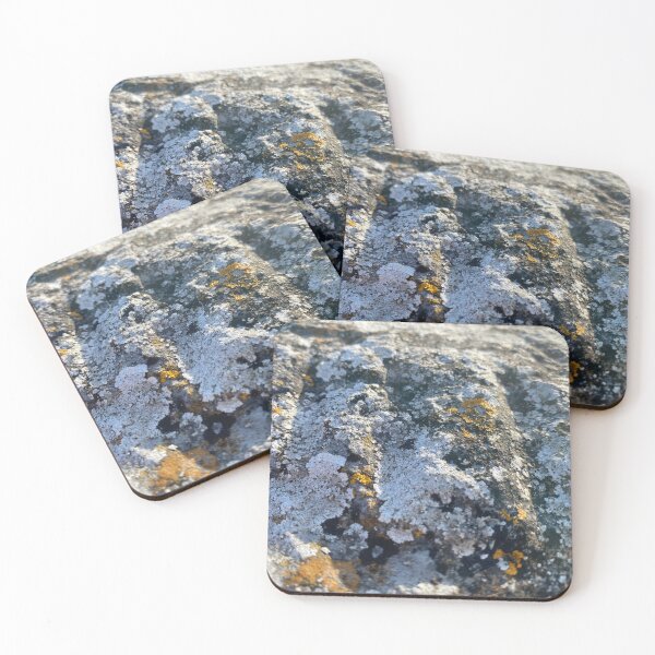 Item preview, Yellow and White Lichen on Harbour Wall designed and sold by Sinemathk.