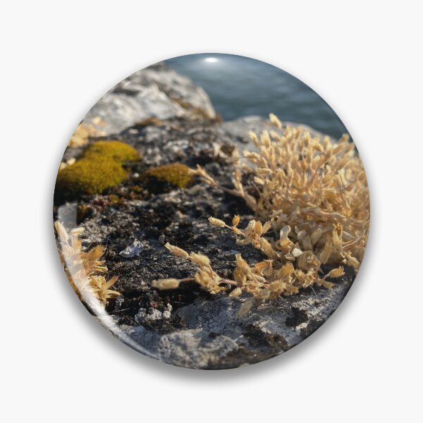 Item preview, Flowers and Lichen on Harbour Wall designed and sold by Sinemathk.