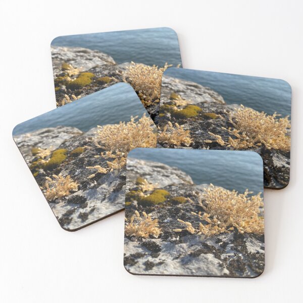 Item preview, Flowers and Lichen on Harbour Wall designed and sold by Sinemathk.