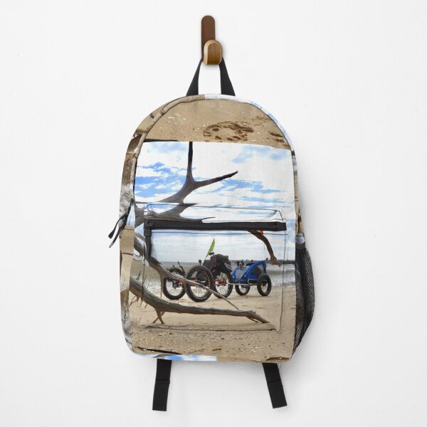 Item preview, Recumbent Trike beach ride designed and sold by Mark Grimsley.